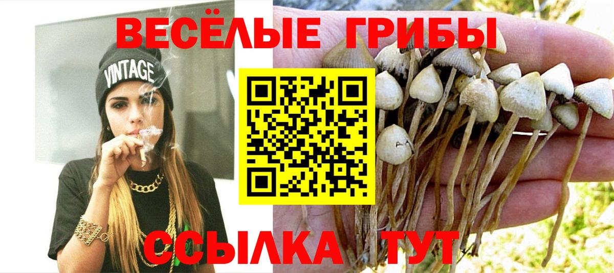 Красноярск  Псилоцибиновые грибы мицелий  Вход с VPN 